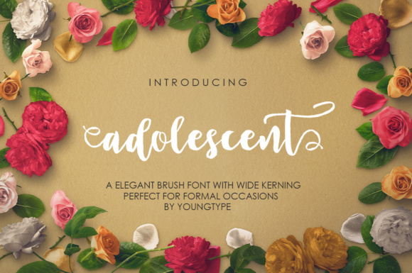 Adolescent: A Strategic Tool for Decision-Making and Long-Term Growth