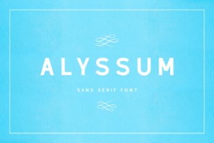 Alyssum: A Versatile Tool for Modern Users