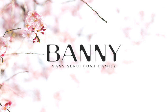 Banny Sans Serif Family: A Modern Solution for Clear and Versatile Typography