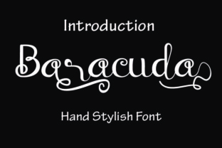 Baraccuda: A Comprehensive Guide to Its Applications and Impact