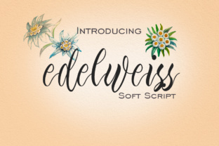 Edelweiss: A Modern Approach to Digital Content and Creativity