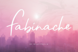 Fabinache: A Practical Overview for Informed Decision-Making
