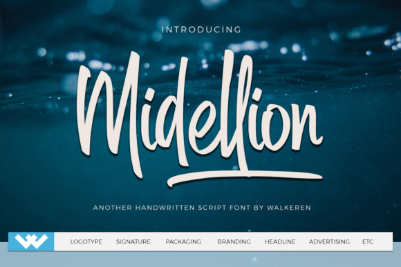 Midellion: A Powerful Tool for Modern Professionals