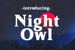 Night Owl: A Bold, Stylish Font for Creative Projects