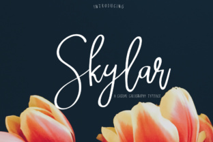 Skylar: A Powerful Tool for Modern Professionals