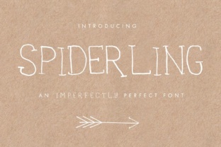 Spiderling in Graphic Design