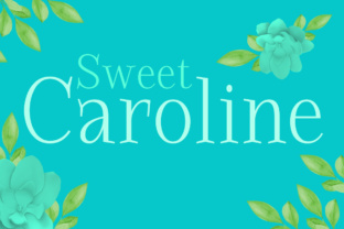 Sweet Caroline: A Versatile Tool for Everyday Use