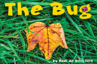 The Bug: A Unique Approach to Problem Solving and Innovation