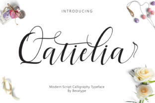 The Qatielia Family: A Comprehensive Overview