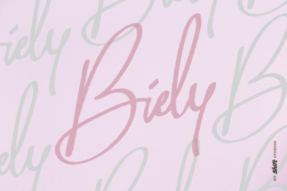 Understanding Biely: A Practical Guide for Real-World Solutions