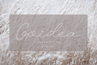 Understanding Gordea: A New Era in Digital Innovation