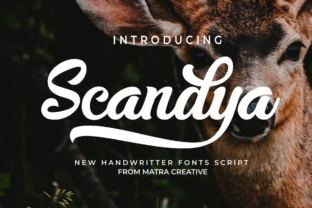 Understanding the Scandya Script: A Journey Through Ancient Writing Systems