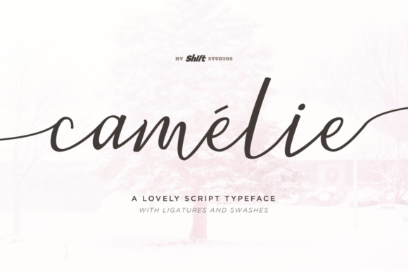 Why Camelie Might Not Be the Right Choice for Your Needs
